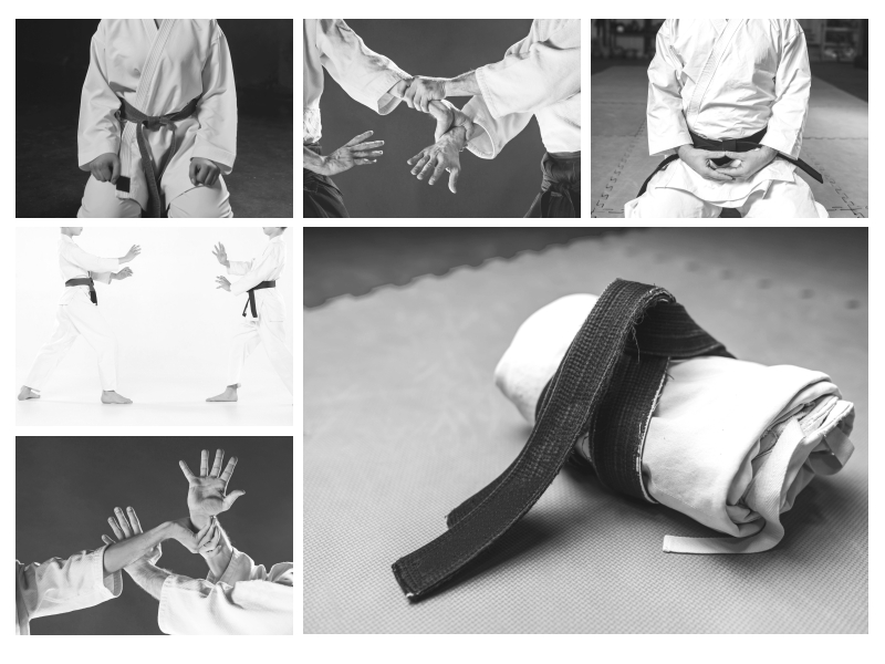 Aiki jujutsu